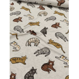 Jersey-Chats -x10cm