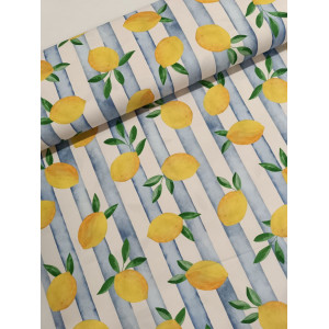 https://www.marynap.com/10573-thickbox/tissu-ameublement-leger-citrons-x10cm.jpg