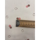 Tissu cretonne - Apples - x10cm