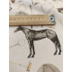 Tissu ameublement - Léger - Equitation - x10cm