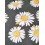 Tissu ameublement - outdoor - Marguerite noir x10cm