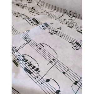 https://www.marynap.com/7066-thickbox/tissu-ameublement-notes-musique-x10cm.jpg