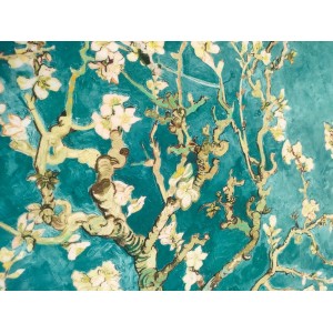 https://www.marynap.com/8041-thickbox/velours-fluide-jap-x10cm.jpg