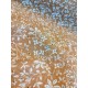 Double gaze coton - Gaufree Marjan Caramel/Blanc - x10cm