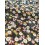 Viscose - Fleurs de coton noir - x 10cm