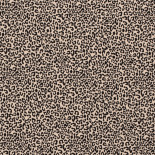 Tulipe -x10cm