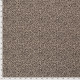 Tulipe -x10cm