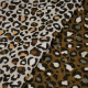 Tissu ameublement - Leopard - x10cm