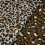 Tissu ameublement - Leopard - x10cm