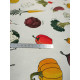 Tissu ameublement - Léger - Aliments - x10cm